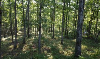 LOT 1 WINDING CREEK LANE Ln, Arley, AL 35541