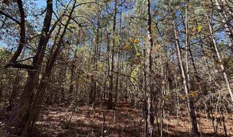 0 CANOE Dr 5.2 Acres - Portion of the Parcel offered on mls, Ashville, AL 35953