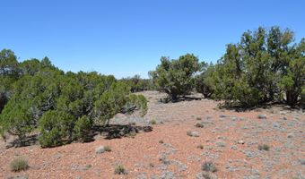 N8604, Concho, AZ 85924