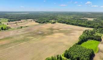 BUTTERCUP AVENUE lot 1-3, Arkdale, WI 54613