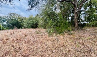 3543 Durden Ave, Bell, FL 32619