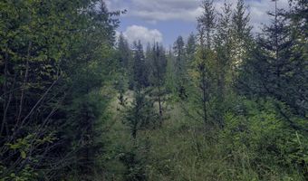 18 Majestic Mountain Rd, Clark Fork, ID 83811