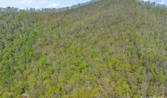 21 Reillys Bluff Rd 1, Barnardsville, NC 28709