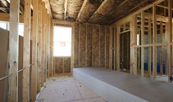 2437 Picual Way, Apex, NC 27502