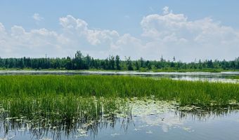 6378 Macey Ln, Alpena, MI 49707
