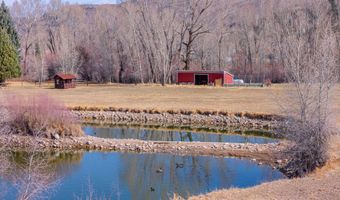 0044 Hooks Ln, Basalt, CO 81621