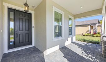 6232 SEA AIR Dr, Apollo Beach, FL 33572