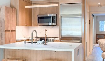 100 E Cooper Ave 4, Aspen, CO 81611