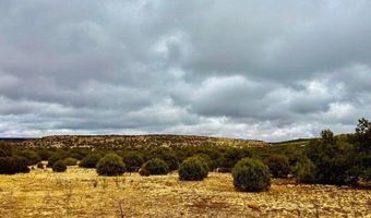 Tbd Co Rd 8256 Lot E 10 Acres, Concho, AZ 85924
