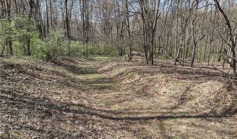 00 Tenacity Trail Off Wright Rd, Adams Twp., PA 16046