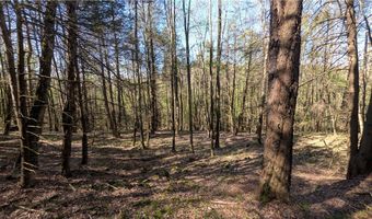 East River Road lot 5, Andes, NY 13731