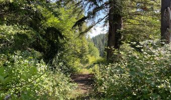 Bogynski RD, Oregon City, OR 97045