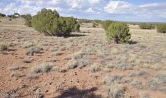 10 N9228, Concho, AZ 85924