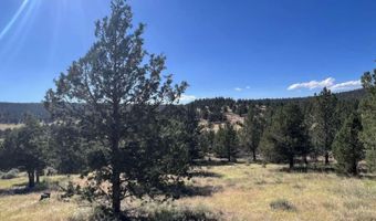 639 Pheasant Dr, Alturas, CA 96101