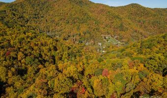 99999 Harwood Rd, Barnardsville, NC 28709