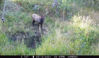 TBD Old Flowers Road, Bellvue, CO 80512