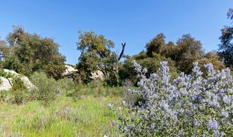 3890 GASKILL PEAK Rd, Alpine, CA 91901