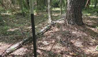 2132 Busby Trl, Brookhaven, MS 39601