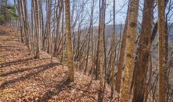 Ararat Highway, Ararat, VA 24053