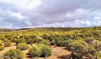 Tbd Co Rd 8256 Lot D 10 Acres, Concho, AZ 85924