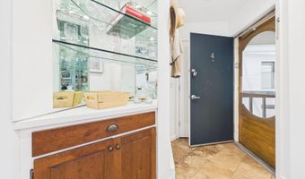 915 E Hopkins Ave 4, Aspen, CO 81611