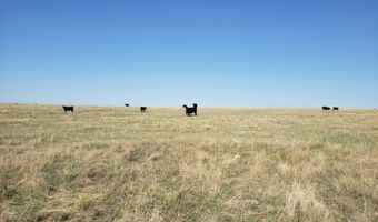 TBD Co Rd W, Akron, CO 80720