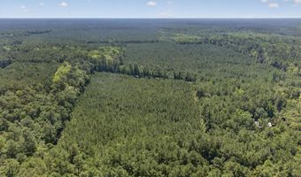 82 Acres Point Caswell Rd, Atkinson, NC 28421