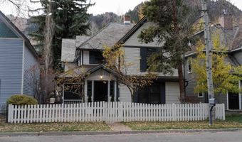 229 W Hallam St, Aspen, CO 81611
