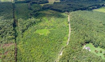 62- Acres Grandmas Hill Rd, Amherst, VA 24521