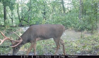 Simons Rd, Alma, WI 54610