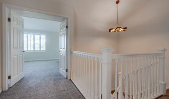 7411 Brava St, Carlsbad, CA 92009