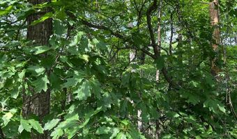 Lot 156 & 158 VICKI, Basye, VA 22810