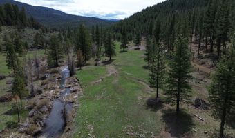 Roney Flat Road, Adin, CA 96006