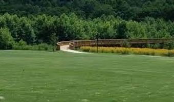 356 Henry Scott Rd, Ball Ground, GA 30107