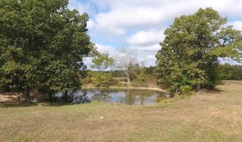 County Road 113, Alton, MO 65606