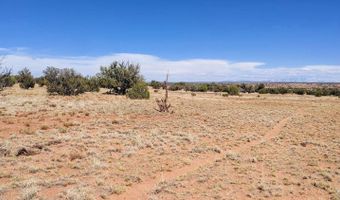 Lot 44 Ranch Of The White Mountains N9119, Concho, AZ 85924