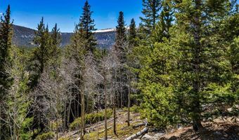270 Co Rd 667 Lot 0, Alma, CO 80440