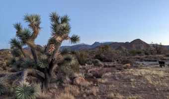 2624 S Gold Mine Rd, Yucca, AZ 86438