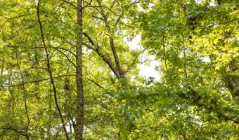 Beech Bluff Road, Beech Bluff, TN 38313