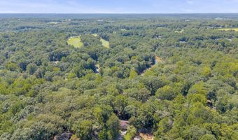 335 Caldwell, Athens, GA 30605