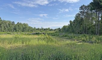 McCall's Millpond Rd, Bennettsville, SC 29512