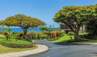 3600 WAILEA ALANUI Dr 1101, Kihei, HI 96753