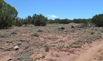 N8604 1, Concho, AZ 85924