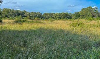 Co Rd 539, Ava, MO 65629