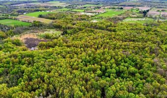 Beaver Road, Alexander, NY 14005