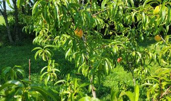 21207 Lawrence 1230, Aurora, MO 65605