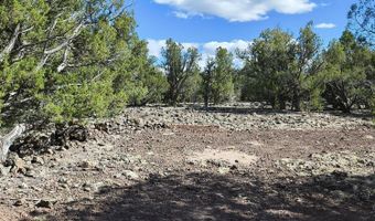 0 Westwood Rnch, Ash Fork, AZ 86320
