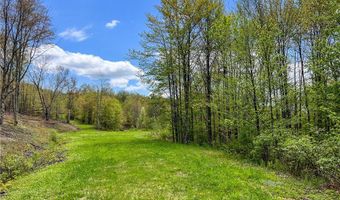 State Route 28 lot # 10, Andes, NY 13731