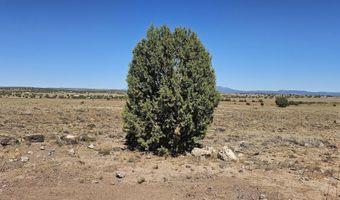 Lowe Ranch Road, Ash Fork, AZ 86320