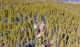 218 GOLDEN CROWN Ln, Blue River, CO 80424